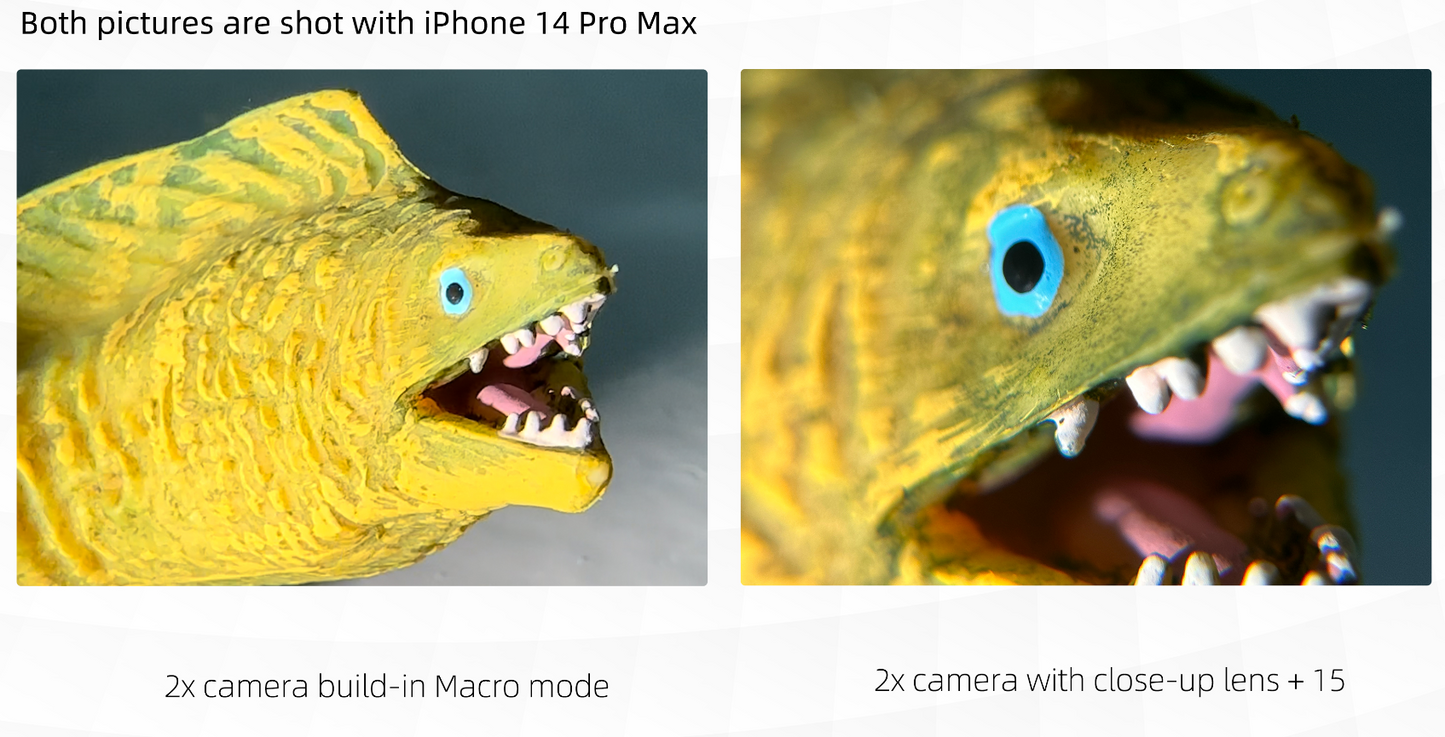 Close-up Lens+15 ‐ マクロレンズ+15